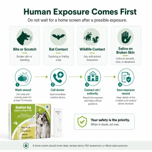 Rabies exposure safety guide explaining that human exposure comes first before using a home screen for pets.