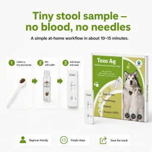 Step-by-step VitapawTech Toxo Ag guide showing tiny stool sample collection, buffer mixing, TOXO test cassette reading and result saving.