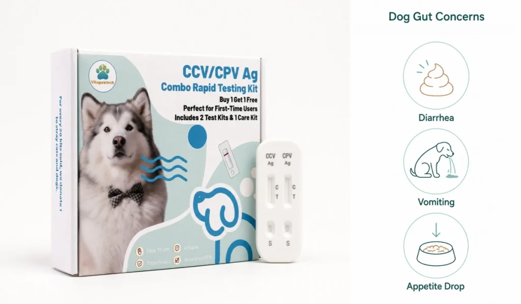 Heimsets kaufen 13 VitapawTech-Bild des Hunde-Darms, das den CCV-CPV-Schnelltest mit Symptomen wie Durchfall, Erbrechen und Appetitverlust zeigt.