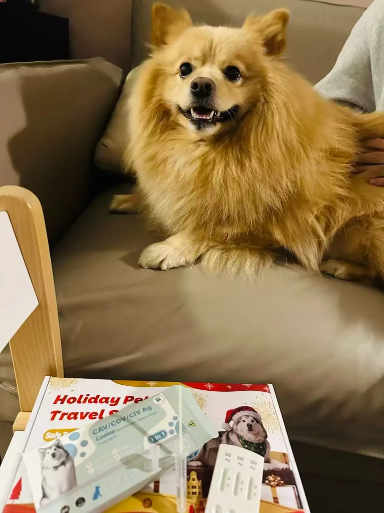 Shop Home Kits 57 vitapawtech Hunde-Reisesicherheitsset für den Urlaub – ein echter Kunde