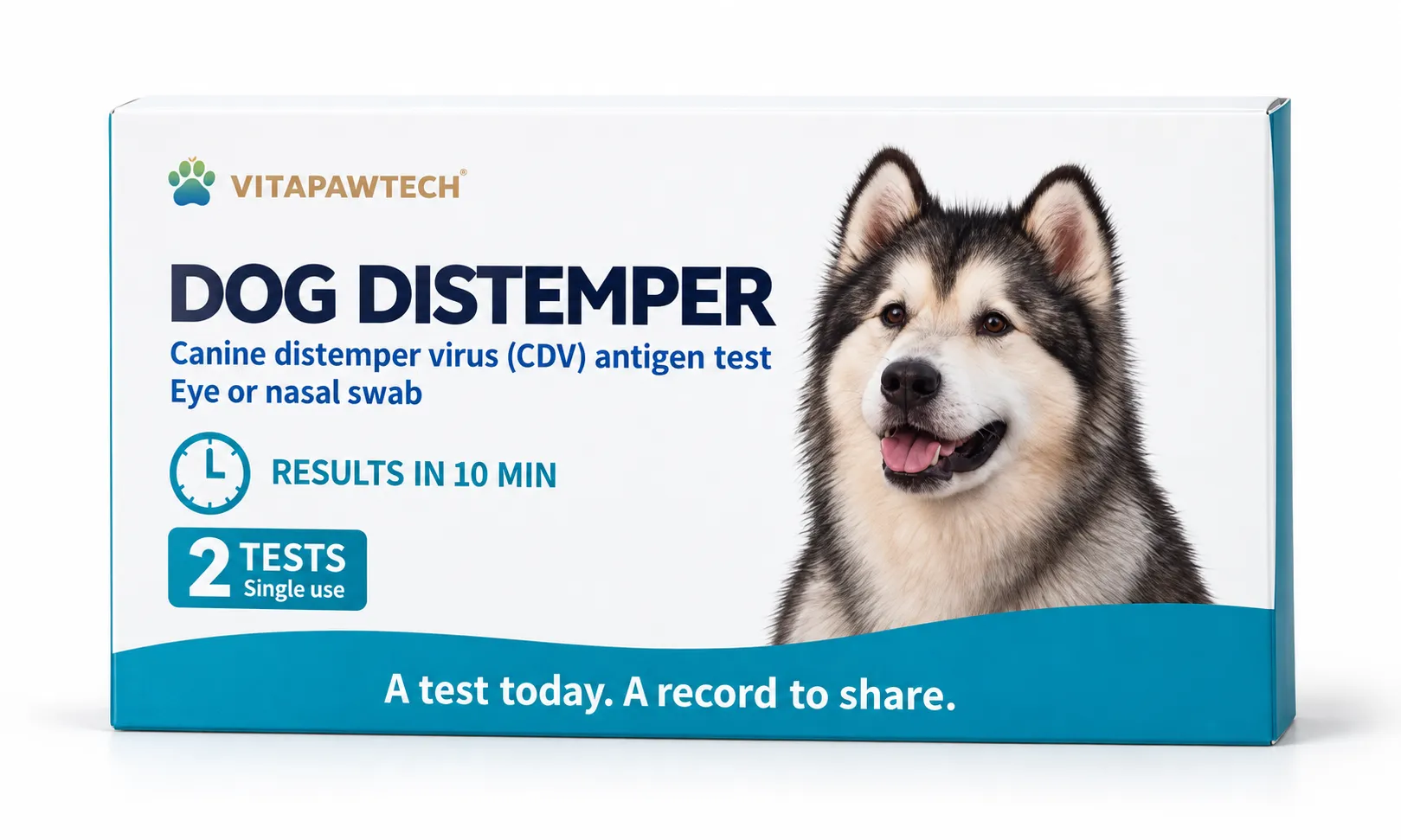 Dog CDV