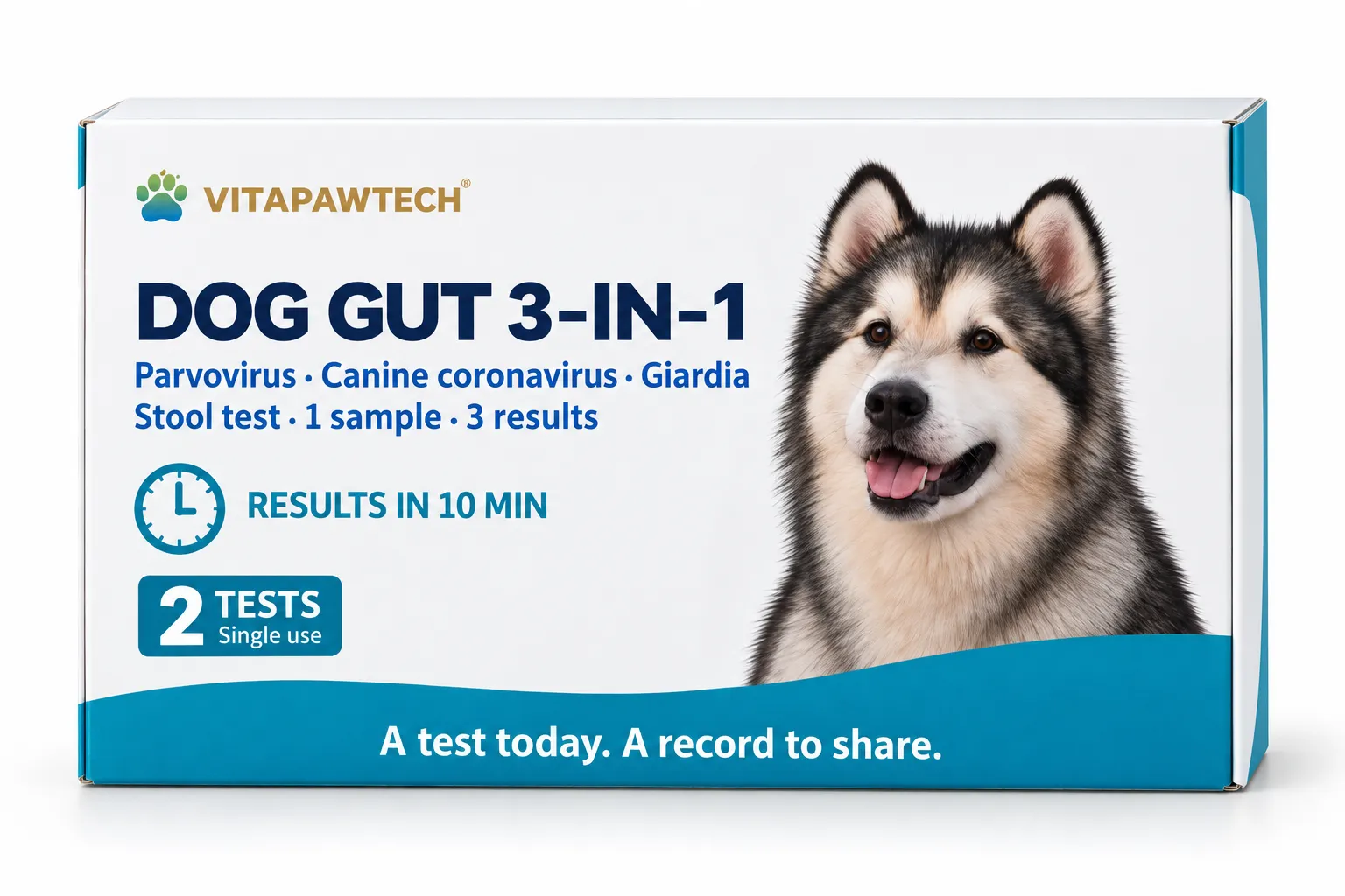 dog gut 3 in 1